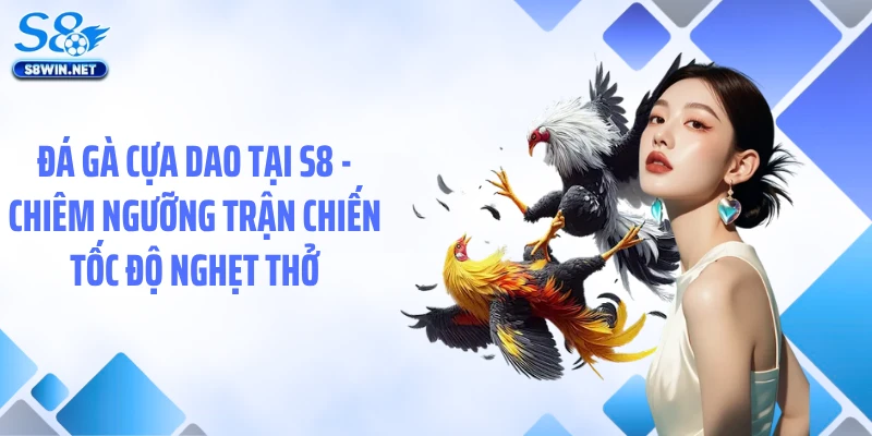 Đá Gà Cựa Dao Tại S8 - Chiêm Ngưỡng Trận Chiến Tốc Độ Nghẹt Thở