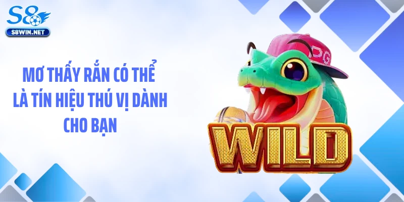 Mơ thấy rắn có thể là tín hiệu thú vị dành cho bạn
