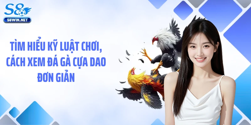 Tìm hiểu kỹ luật chơi, cách xem đá gà cựa dao đơn giản