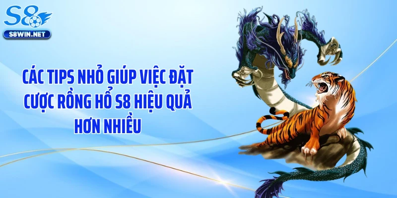 Các tips nhỏ giúp việc đặt cược rồng hổ S8 hiệu quả hơn nhiều